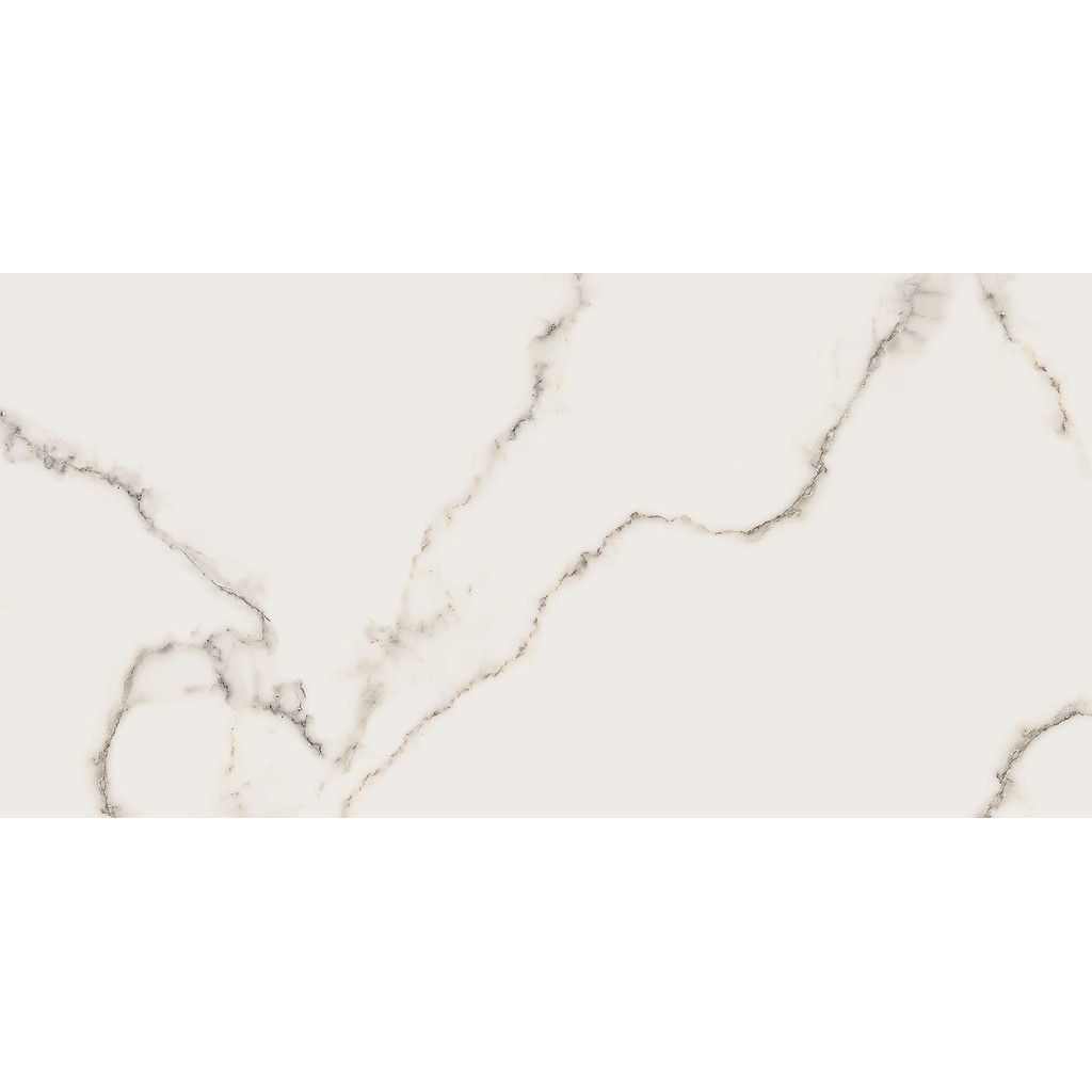 er-00016963-3