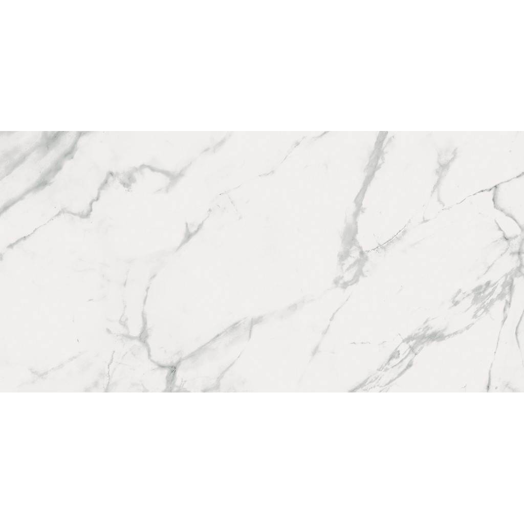 er-00016958-3