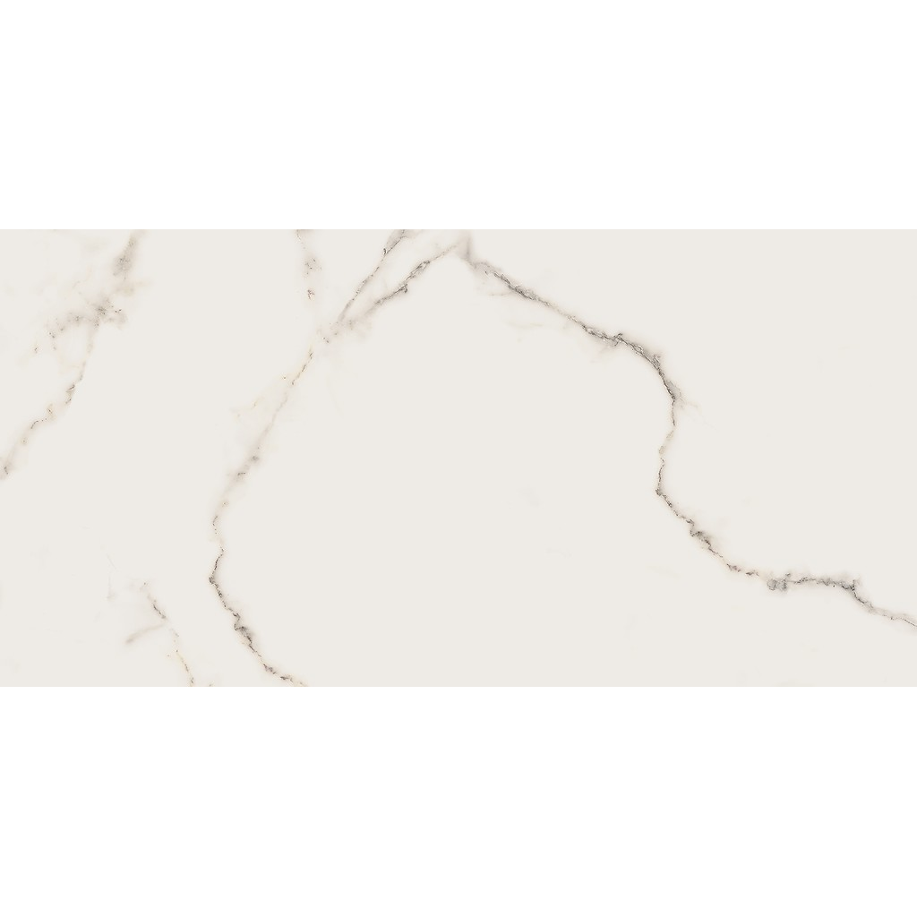 er-00016963-4