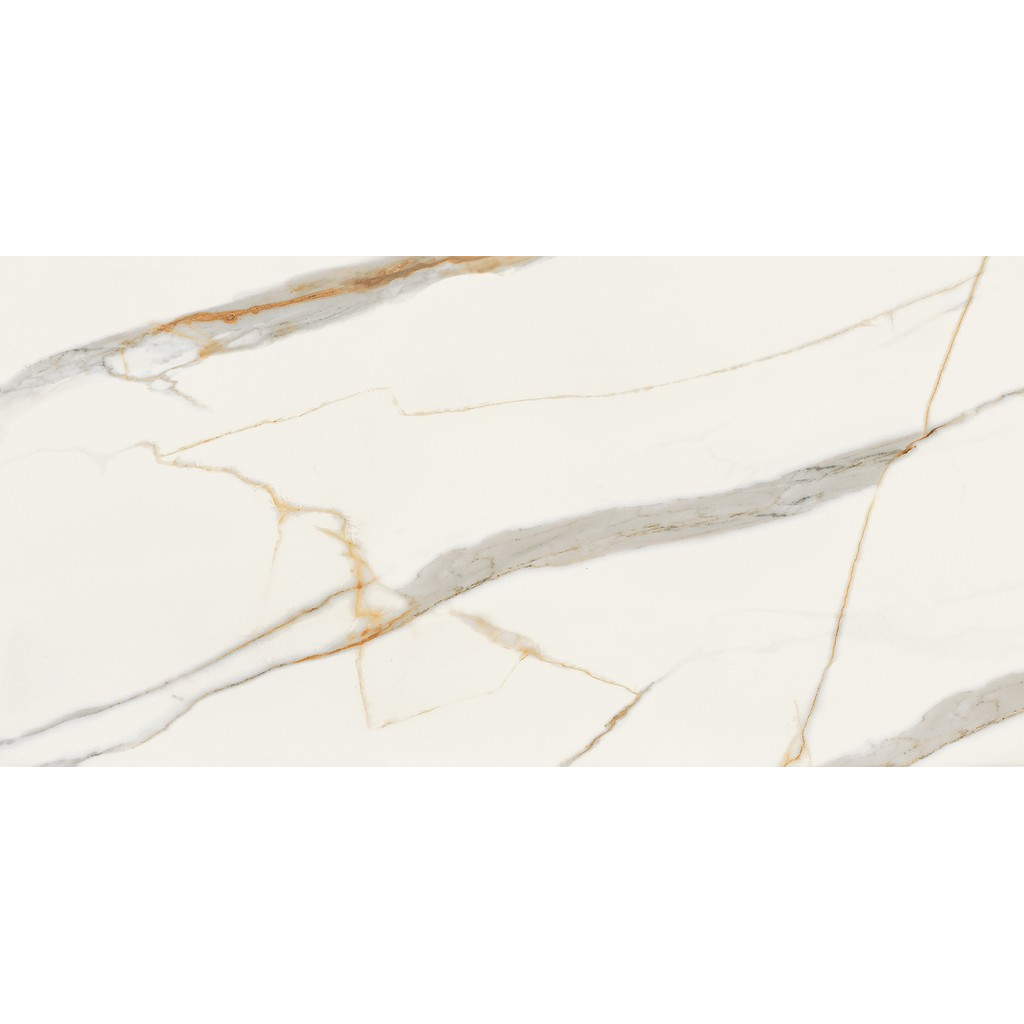 er-00016964-1