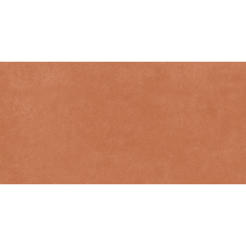 er-00016921
