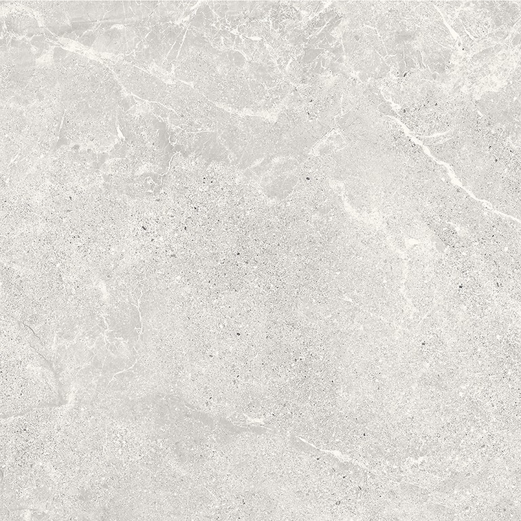 er-00016950