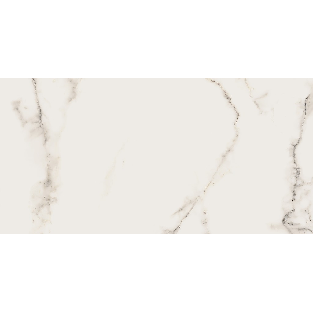 er-00016963-1
