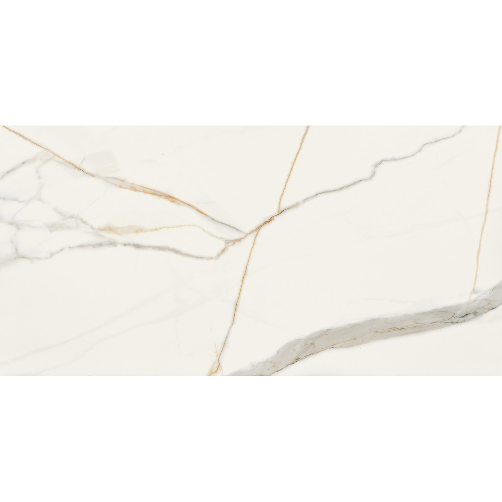 er-00016964-2