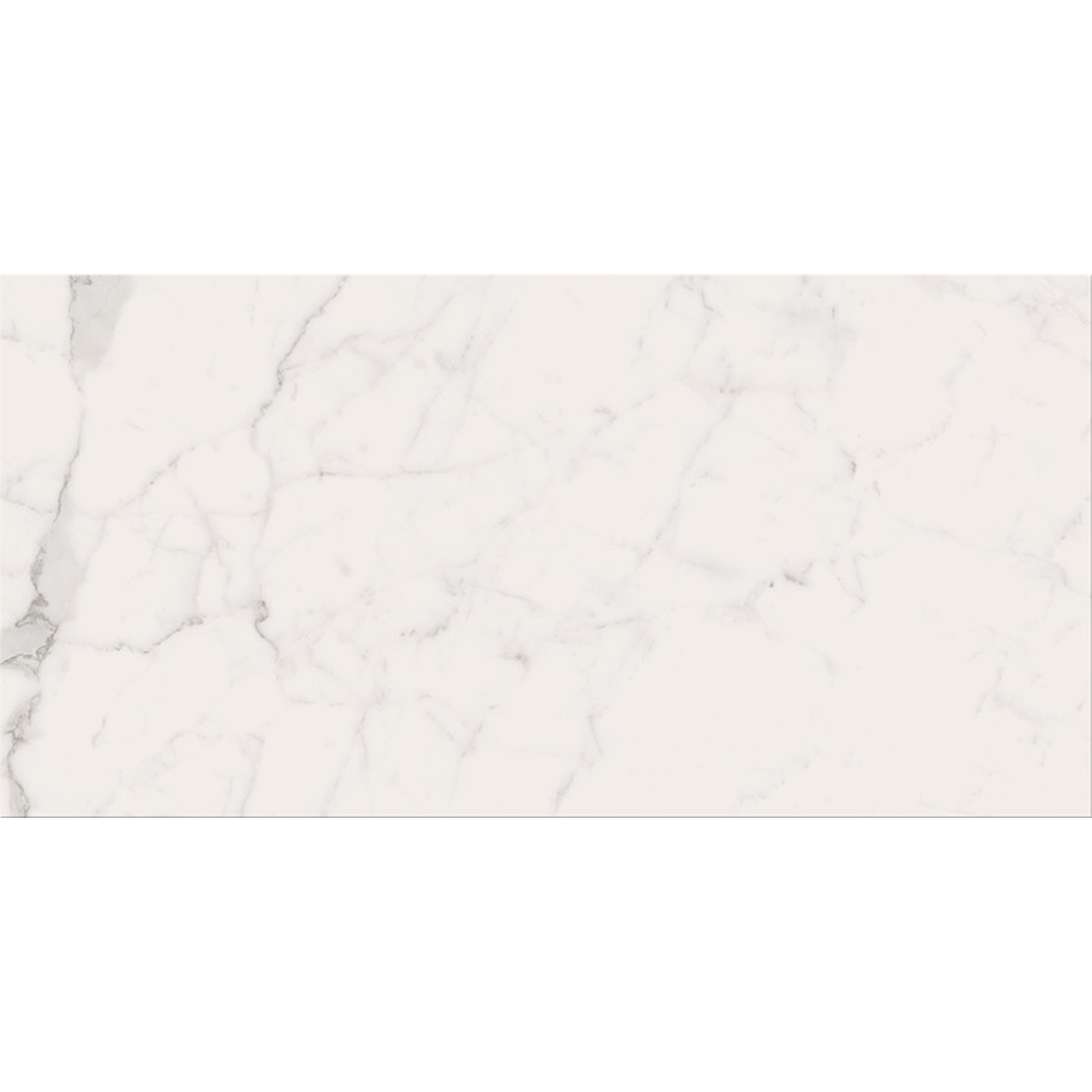 er-00017442-1