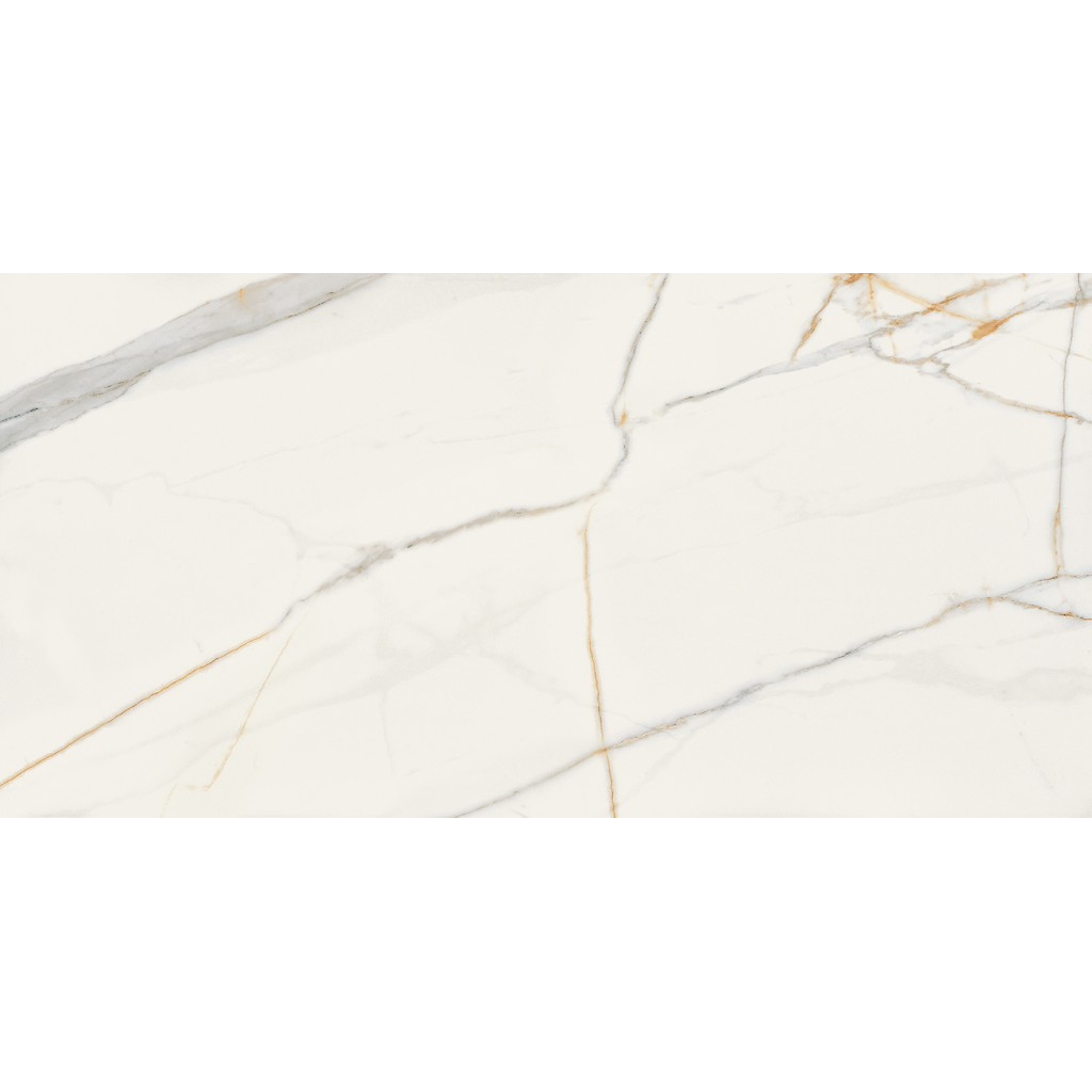 er-00016964-3