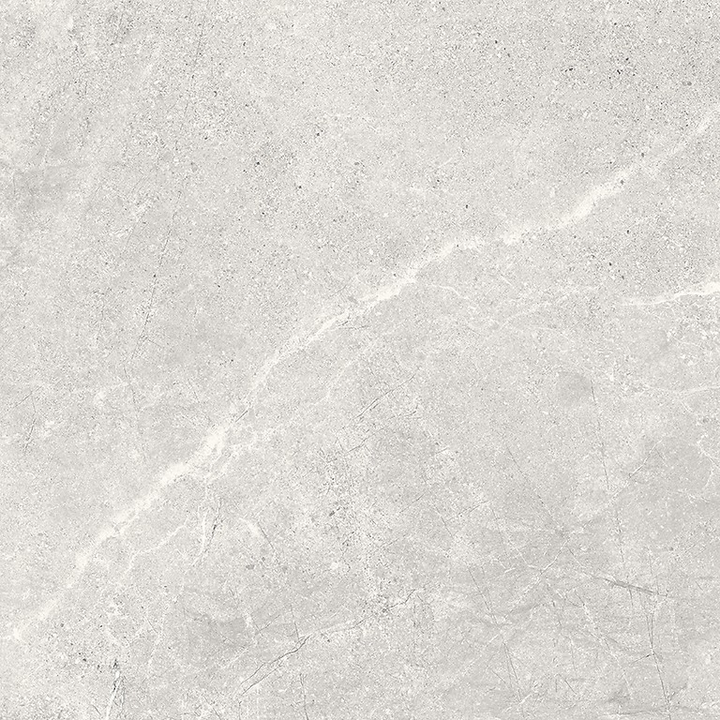 er-00016950-4
