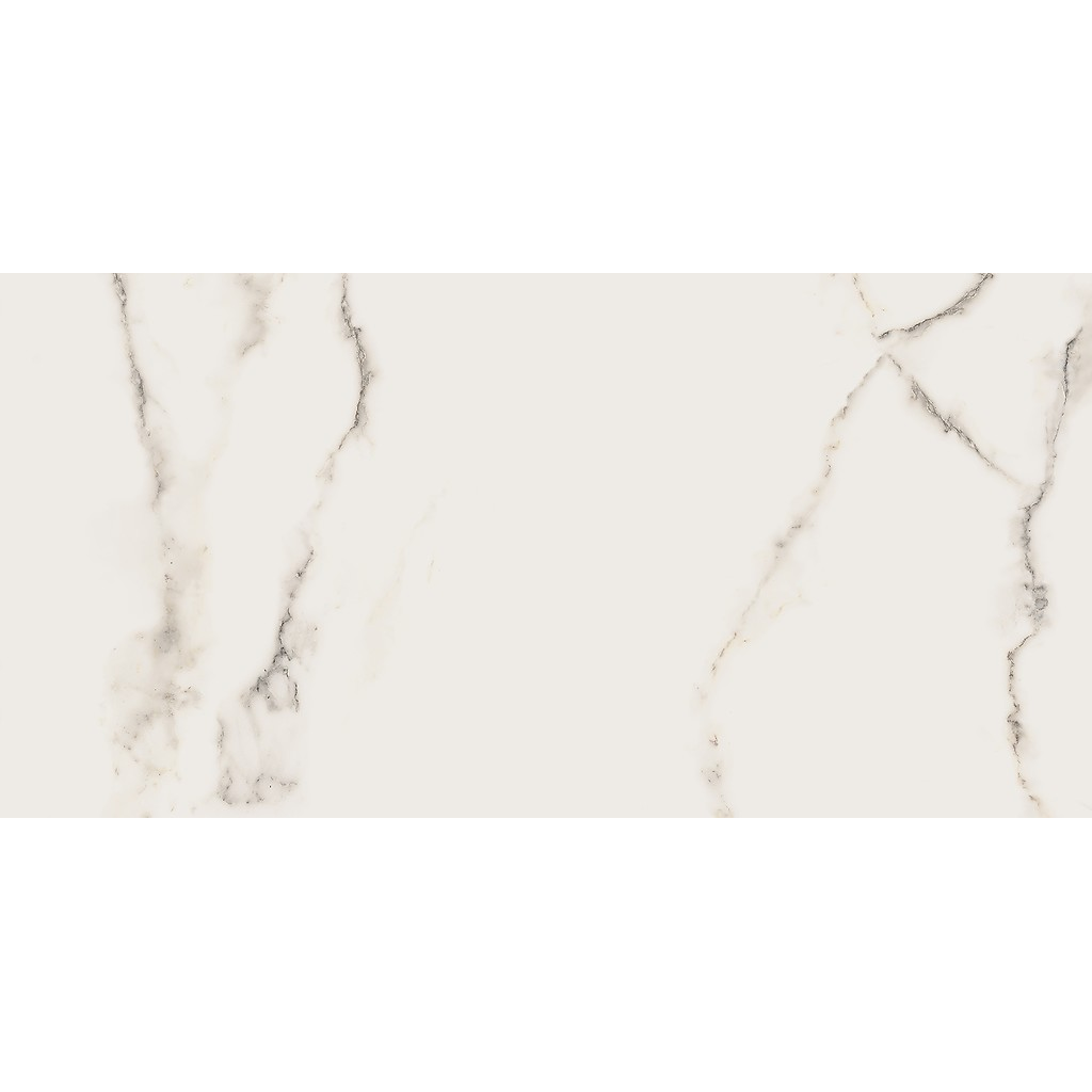 er-00016963-2