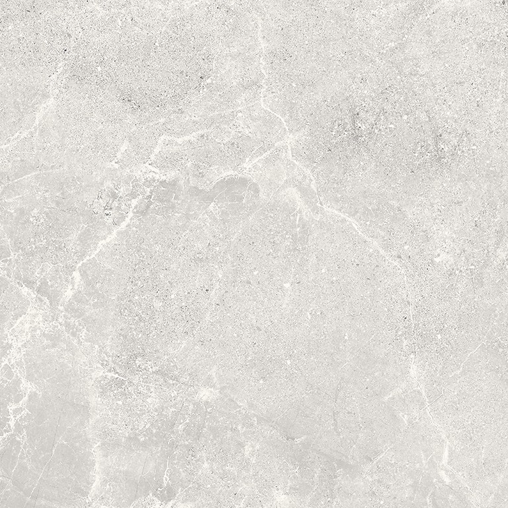 er-00016950-5