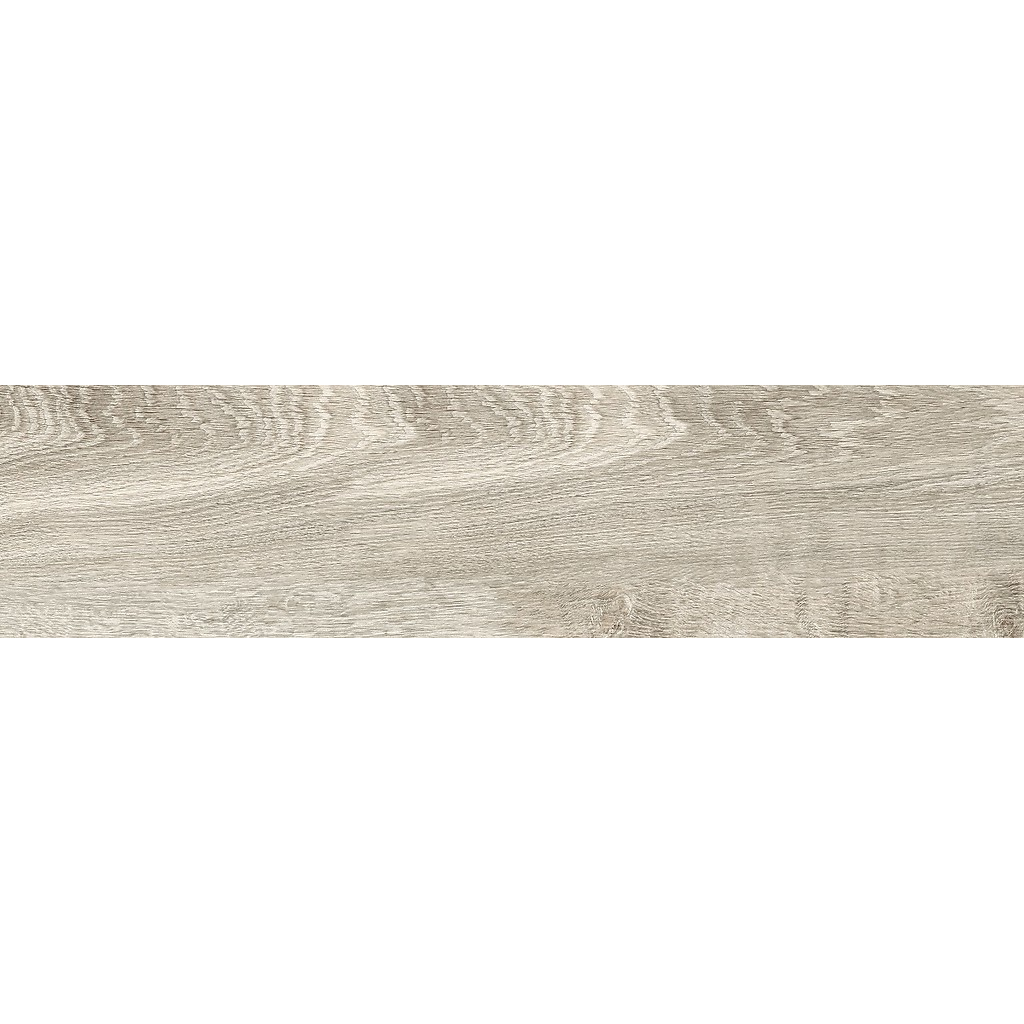 er-00016920-1